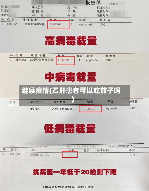 继续疫情(乙肝患者可以吃茄子吗)
