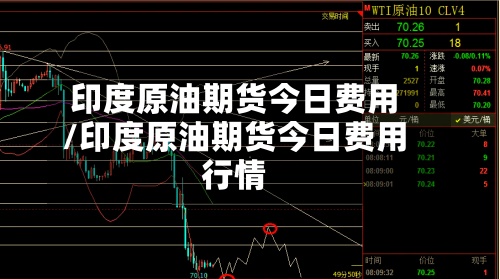 印度原油期货今日费用/印度原油期货今日费用行情-第2张图片