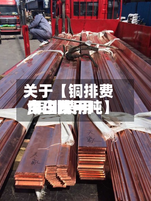 关于【铜排费用
今日费用
,铜排费用
今日费用
多少钱一吨】-第2张图片