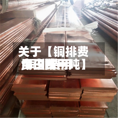 关于【铜排费用
今日费用
,铜排费用
今日费用
多少钱一吨】-第3张图片