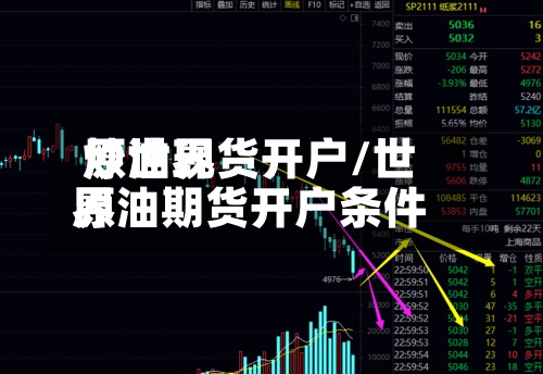 炒世界
原油现货开户/世界
原油期货开户条件-第2张图片