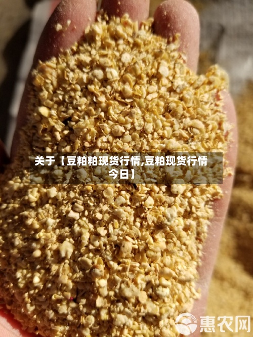 关于【豆粕粕现货行情,豆粕现货行情今日】