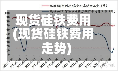 现货硅铁费用(现货硅铁费用走势)