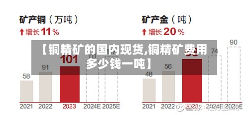 【铜精矿的国内现货,铜精矿费用
多少钱一吨】-第3张图片