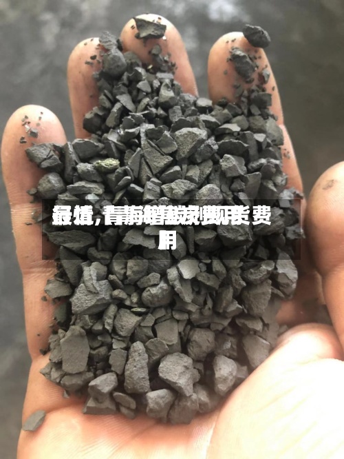 最近【青海焦炭费用
行情,青海增碳剂现货费用
】-第2张图片