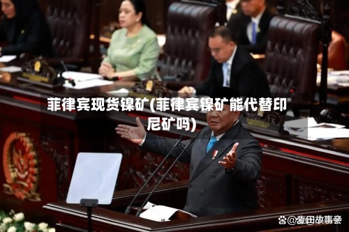 菲律宾现货镍矿(菲律宾镍矿能代替印尼矿吗)-第2张图片