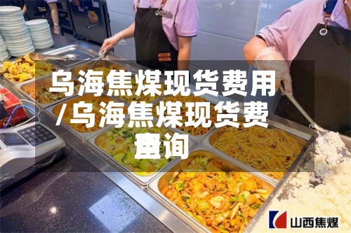 乌海焦煤现货费用/乌海焦煤现货费用查询