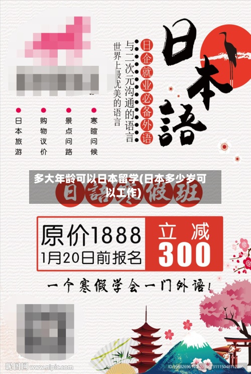 多大年龄可以日本留学(日本多少岁可以工作)