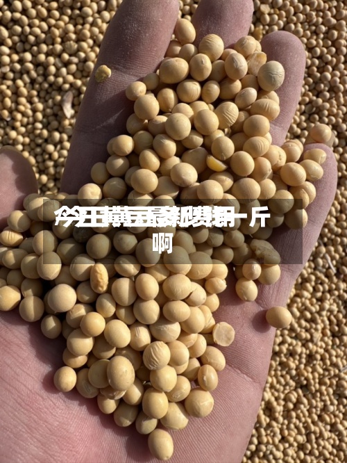 今日黄豆最新费用/今日黄豆多少钱一斤啊