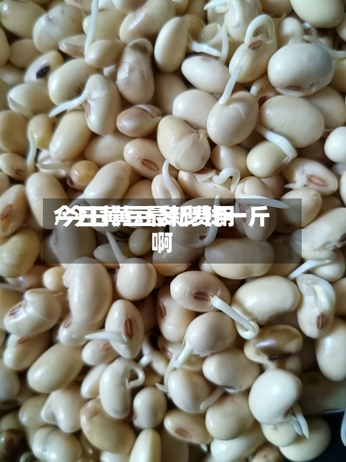 今日黄豆最新费用
/今日黄豆多少钱一斤啊-第3张图片
