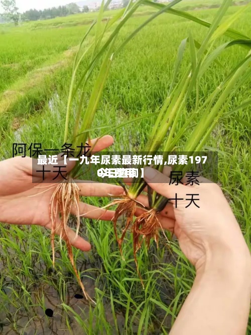 最近【一九年尿素最新行情,尿素1970年费用今日查询】