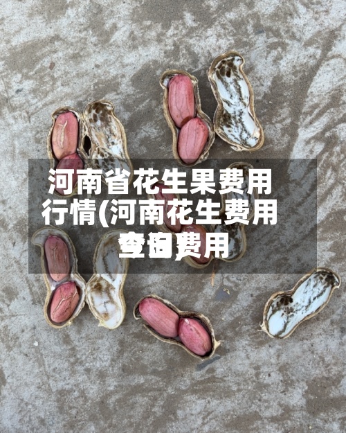 河南省花生果费用
行情(河南花生费用
今日费用
查询)-第2张图片