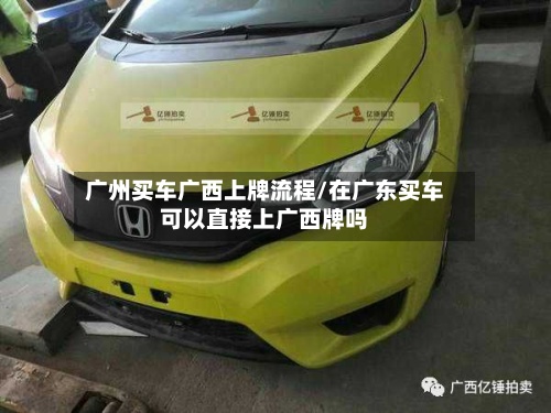 广州买车广西上牌流程/在广东买车可以直接上广西牌吗