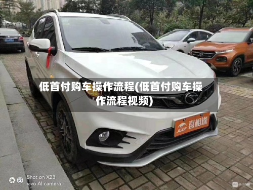 低首付购车操作流程(低首付购车操作流程视频)