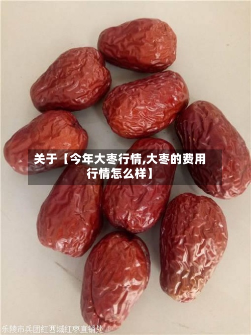 关于【今年大枣行情,大枣的费用
行情怎么样】-第3张图片