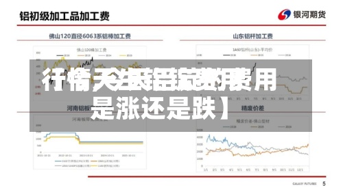 【今天生铝锭费用行情,今天铝锭的费用是涨还是跌】