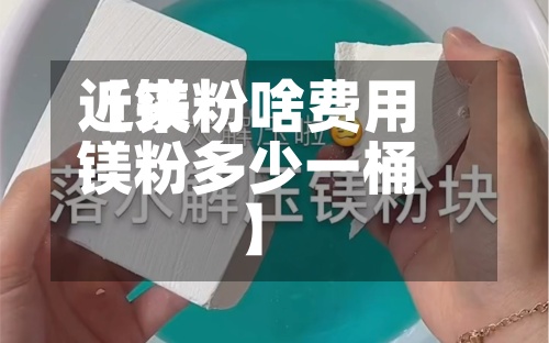近来【镁粉啥费用镁粉多少一桶】