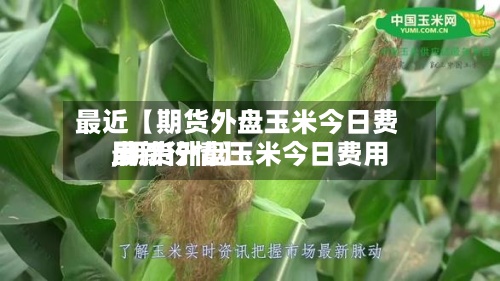 最近【期货外盘玉米今日费用,期货外盘玉米今日费用最新行情】