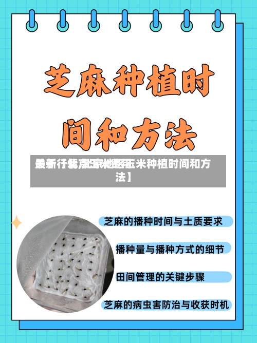 关于【北京玉米费用最新行情,北京地区玉米种植时间和方法】