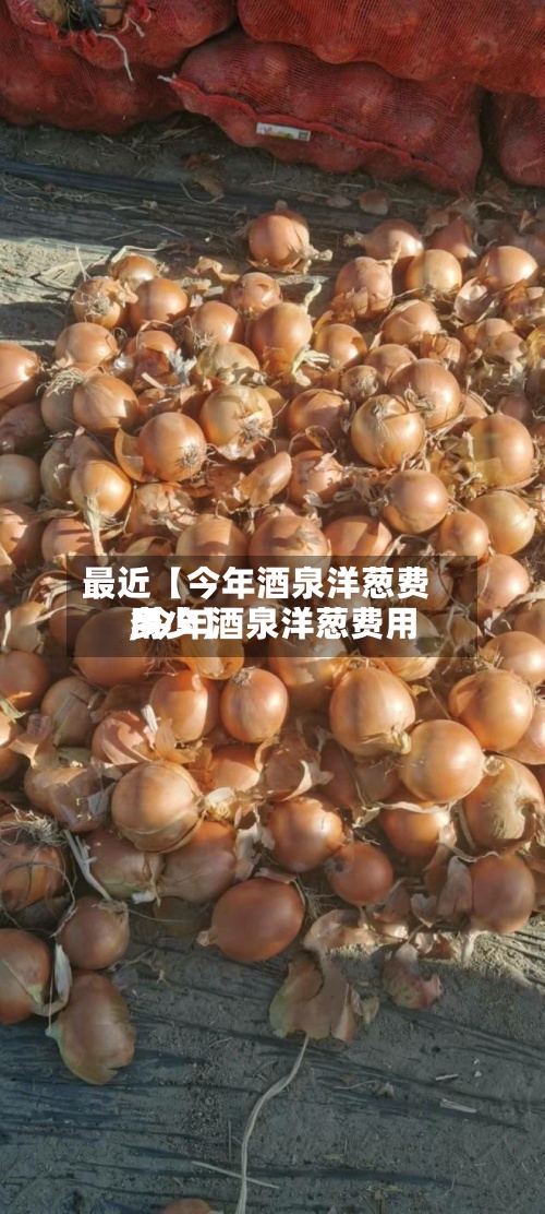 最近【今年酒泉洋葱费用
,今年酒泉洋葱费用
多少】-第3张图片