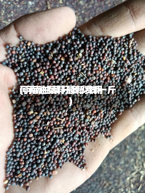 河南油菜籽最新费用(河南油菜籽多少钱一斤)