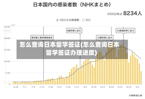怎么查询日本留学签证(怎么查询日本留学签证办理进度)-第2张图片