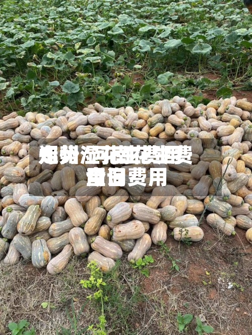 郑州湿花生费用走势/河南花生费用今日费用查询