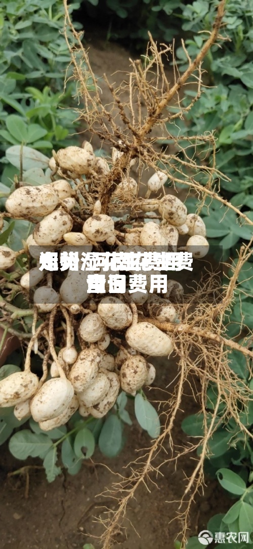 郑州湿花生费用
走势/河南花生费用
今日费用
查询-第2张图片