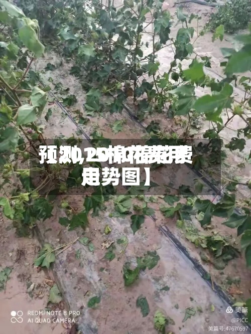 【2015棉花费用预测,2010棉花费用走势图】-第2张图片