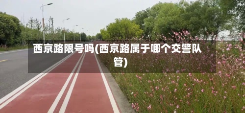 西京路限号吗(西京路属于哪个交警队管)