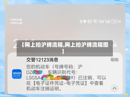 【网上拍沪牌流程,网上拍沪牌流程图】
