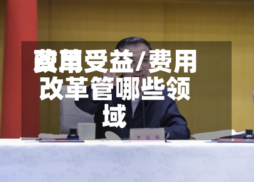 费用改革受益/费用改革管哪些领域