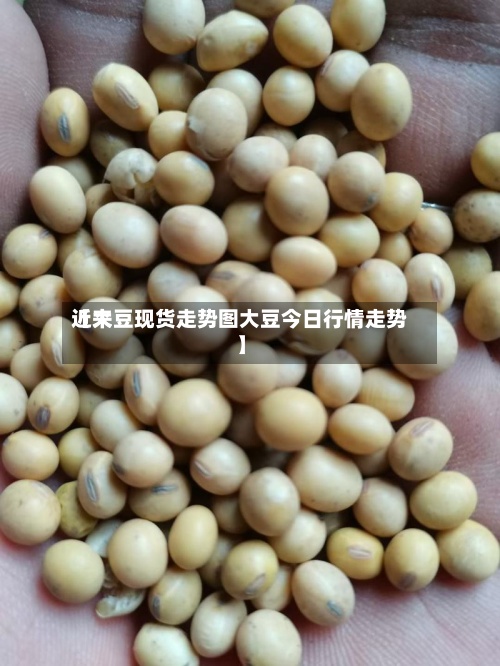 近来
【大豆现货走势图大豆今日行情走势】-第2张图片