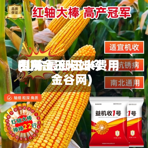 山东金玉米如今
费用
(山东最新玉米费用
金谷网)-第3张图片