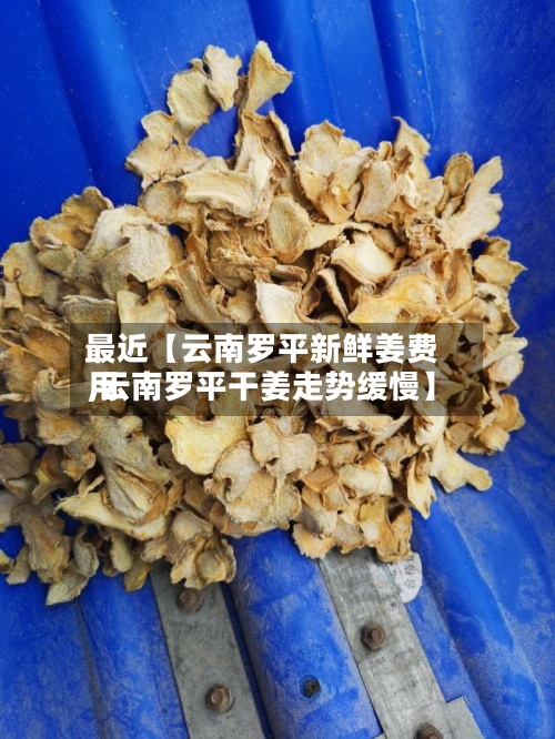 最近【云南罗平新鲜姜费用,云南罗平干姜走势缓慢】