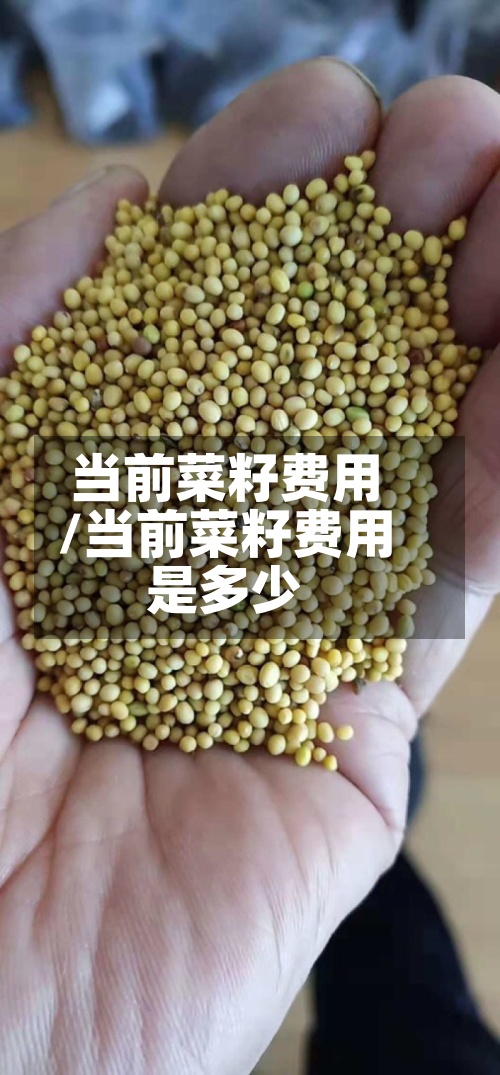 当前菜籽费用/当前菜籽费用是多少
