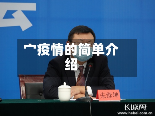 宀疫情的简单介绍