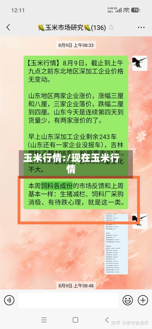 玉米行情:/现在玉米行情
