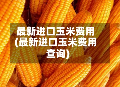 最新进口玉米费用
(最新进口玉米费用
查询)-第2张图片