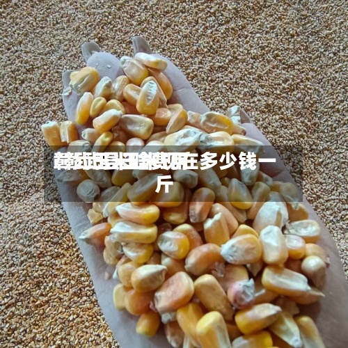 彰武玉米啥费用
/彰武县玉米现在多少钱一斤-第3张图片