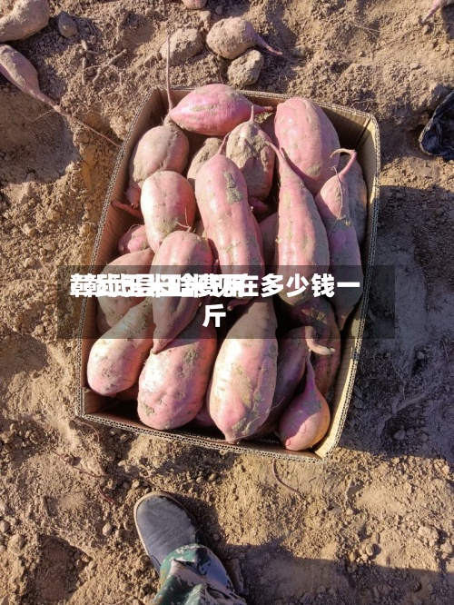 彰武玉米啥费用
/彰武县玉米现在多少钱一斤-第2张图片