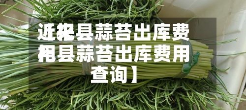 近来【杞县蒜苔出库费用杞县蒜苔出库费用查询】