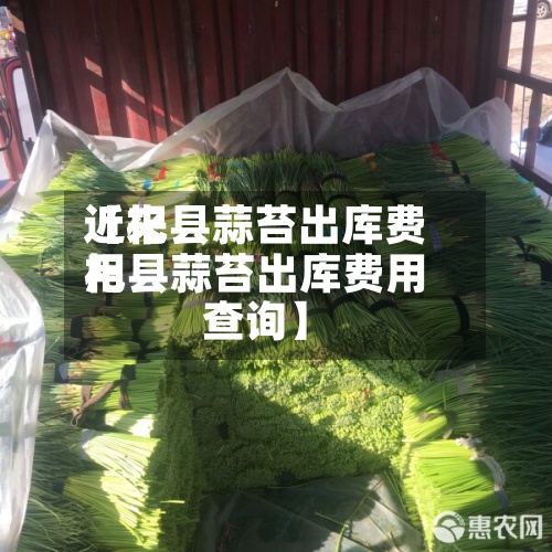 近来
【杞县蒜苔出库费用
杞县蒜苔出库费用
查询】-第2张图片
