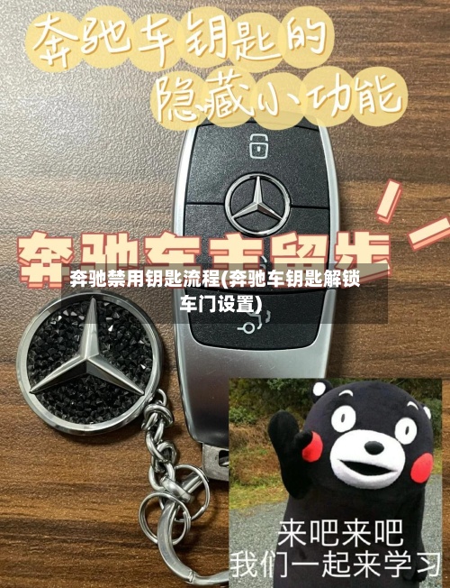奔驰禁用钥匙流程(奔驰车钥匙解锁车门设置)