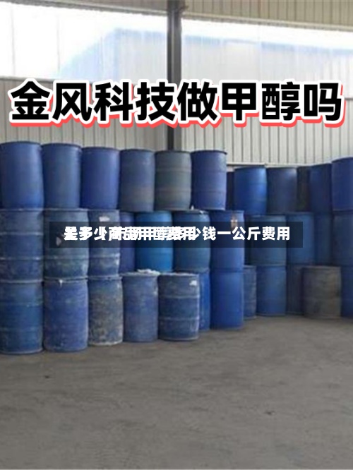 关于【商品甲醇费用
是多少,市场甲醇多少钱一公斤费用
】-第2张图片