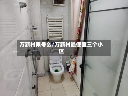 万新村限号么/万新村最便宜三个小区-第2张图片