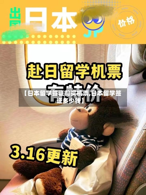 【日本留学签证前买机票,日本留学签证多少钱】-第2张图片