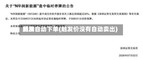 费用
触发自动下单(触发价没有自动卖出)-第3张图片