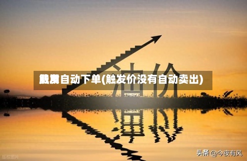 费用触发自动下单(触发价没有自动卖出)