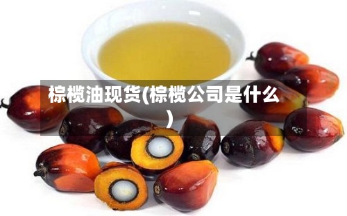 棕榄油现货(棕榄公司是什么)-第2张图片